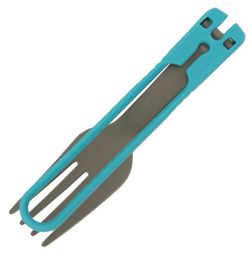 MSR Fork